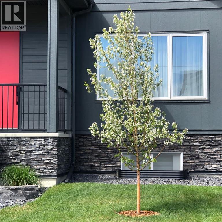 244 Grayling Common, Rural Rocky View County, Alberta  T3Z 0G6 - Photo 41 - A2279316