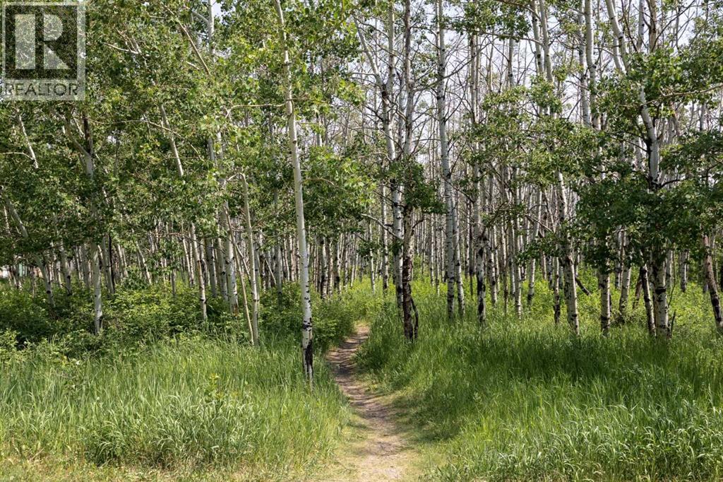 3116, 16320 24 Street SW, Calgary, Alberta  T2Y 5A1 - Photo 26 - A2298749