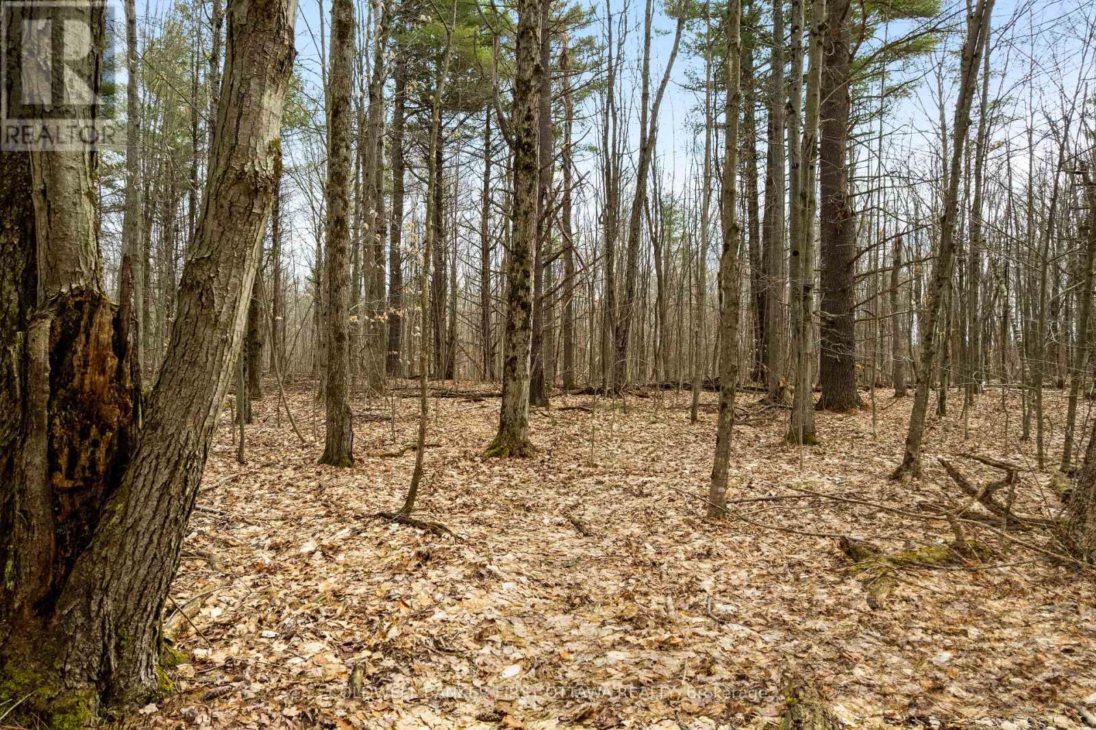 145 Mallens Road, Rideau Lakes, Ontario  K0G 1E0 - Photo 39 - X13007244