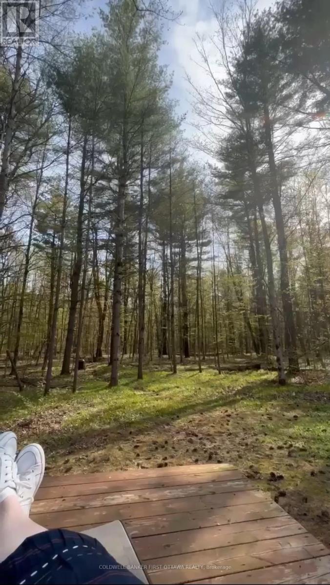 145 Mallens Road, Rideau Lakes, Ontario  K0G 1E0 - Photo 46 - X13007244