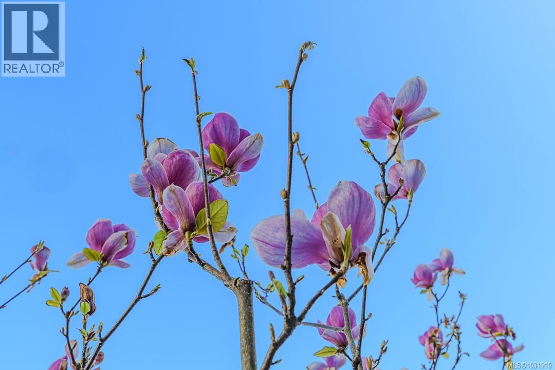 1 300 Six Mile Rd, View Royal, British Columbia  V9B 5Y3 - Photo 33 - 1031910