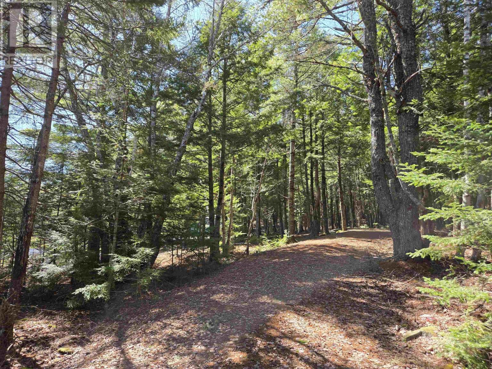 26 Birch Island Road, Westfield, Nova Scotia B0T 1B0 - Photo 6 - 202607437