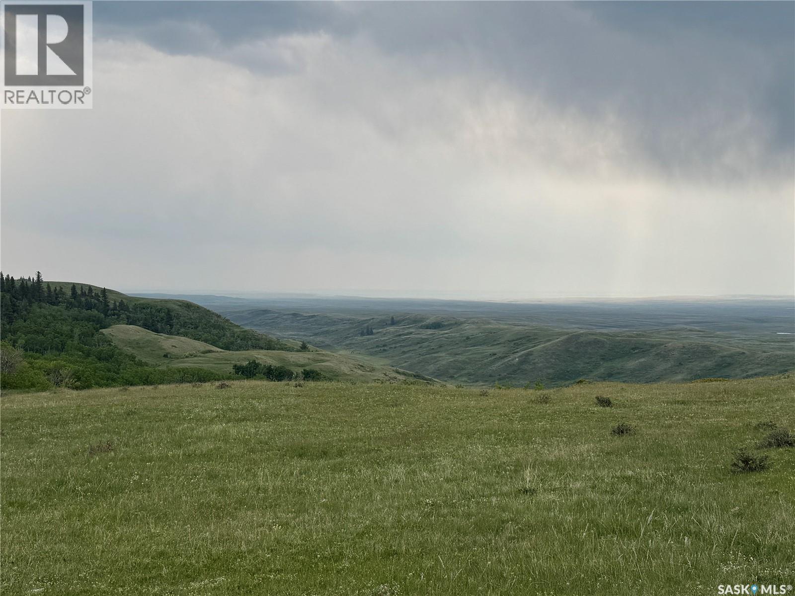 120 Acres Bordering Cypress Hills Provincial Park, Maple Creek Rm No. 111, Saskatchewan  S0N 1N0 - Photo 5 - SK032769