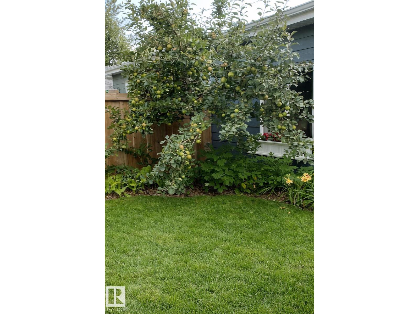 10972 141 St Nw, Edmonton, Alberta  T5M 1T4 - Photo 37 - E4482139