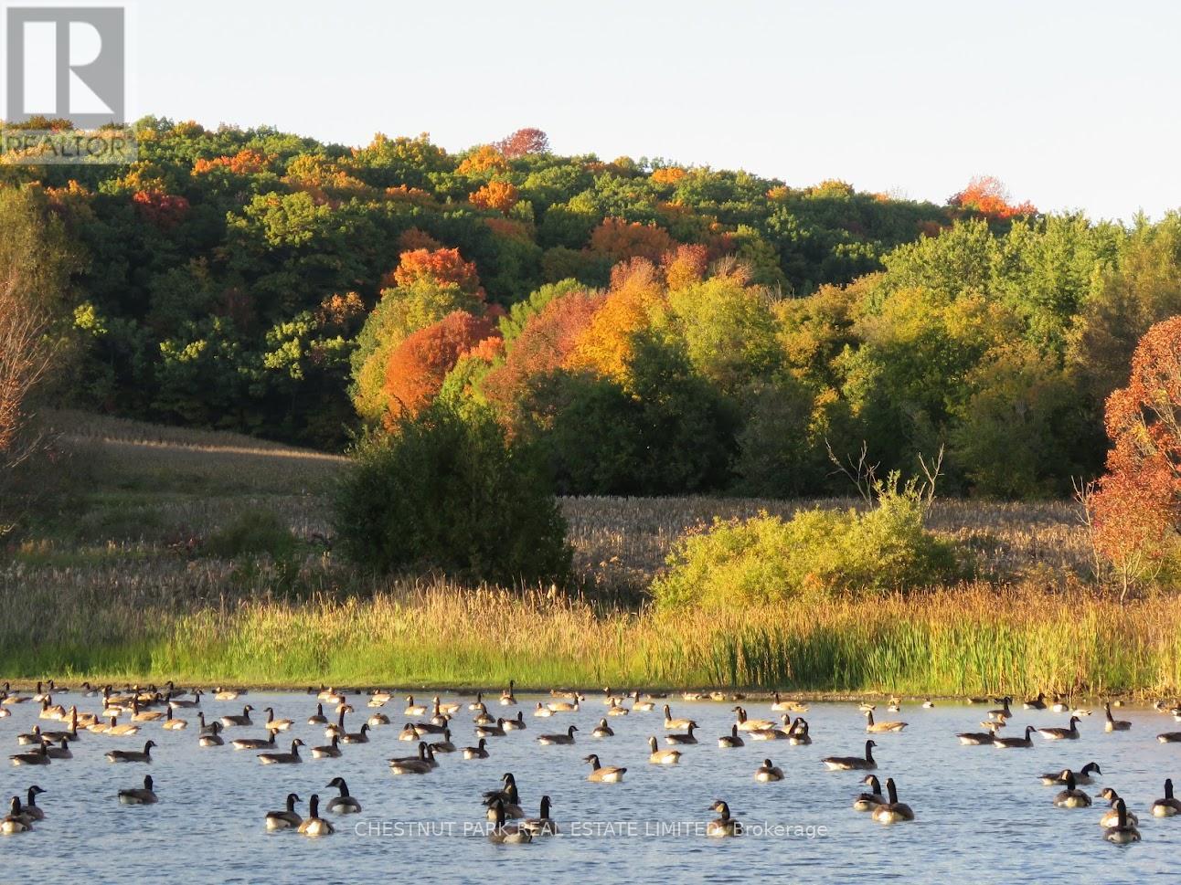000 Crossen Road, Hamilton Township, Ontario  K9A 4J9 - Photo 11 - X13007426