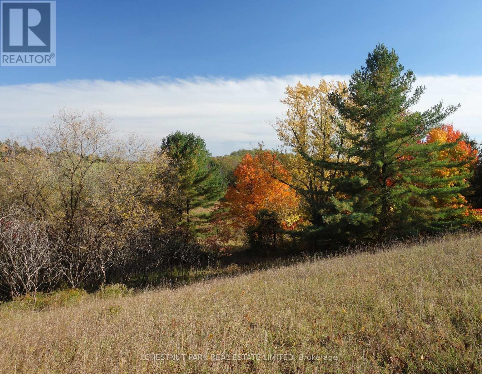 000 Crossen Road, Hamilton Township, Ontario  K9A 4J9 - Photo 13 - X13007426
