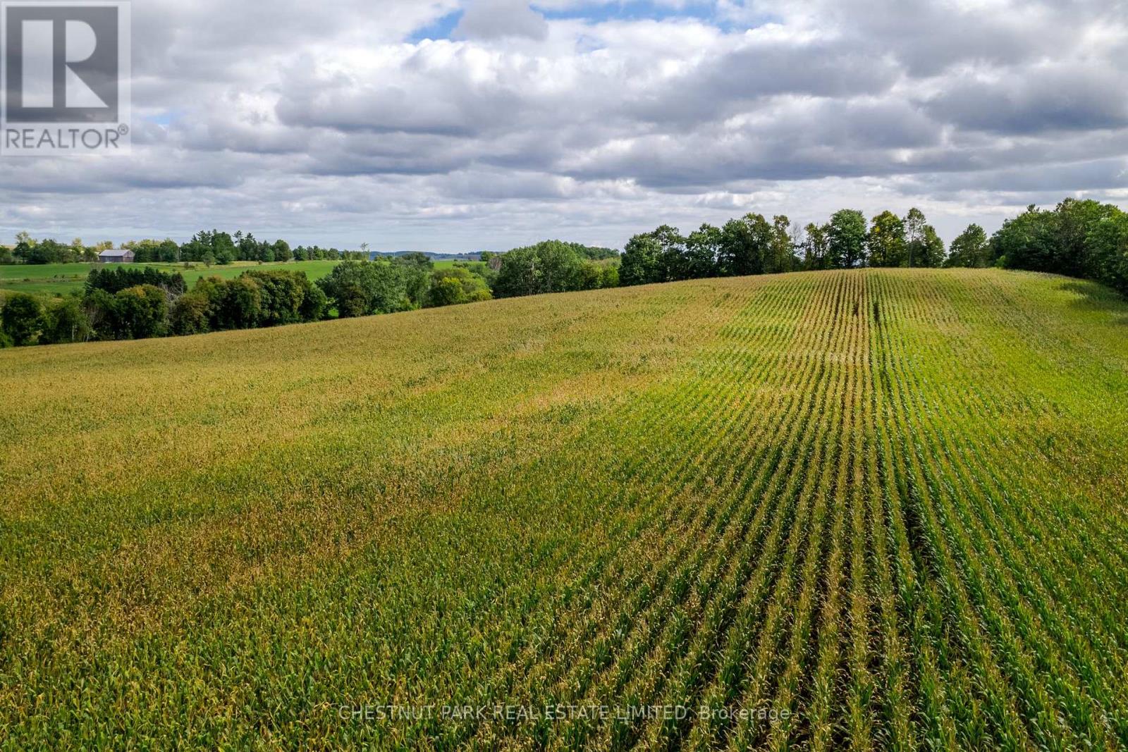 000 Crossen Road, Hamilton Township, Ontario  K9A 4J9 - Photo 14 - X13007426