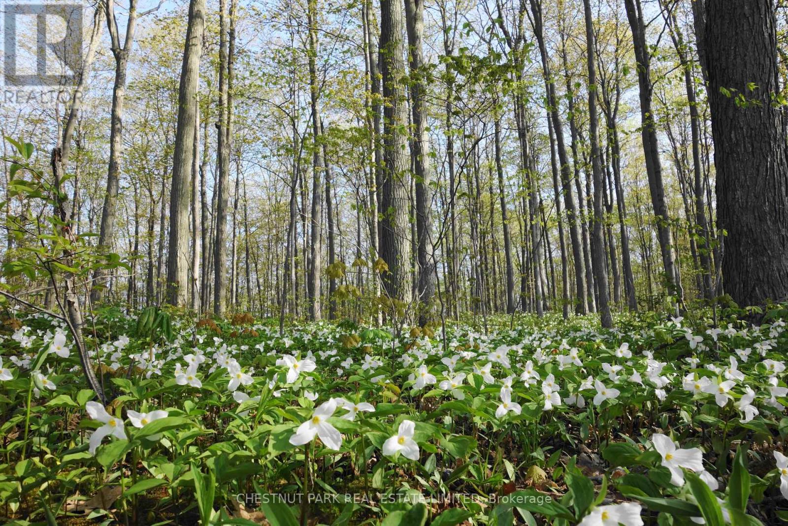 000 Crossen Road, Hamilton Township, Ontario  K9A 4J9 - Photo 20 - X13007426
