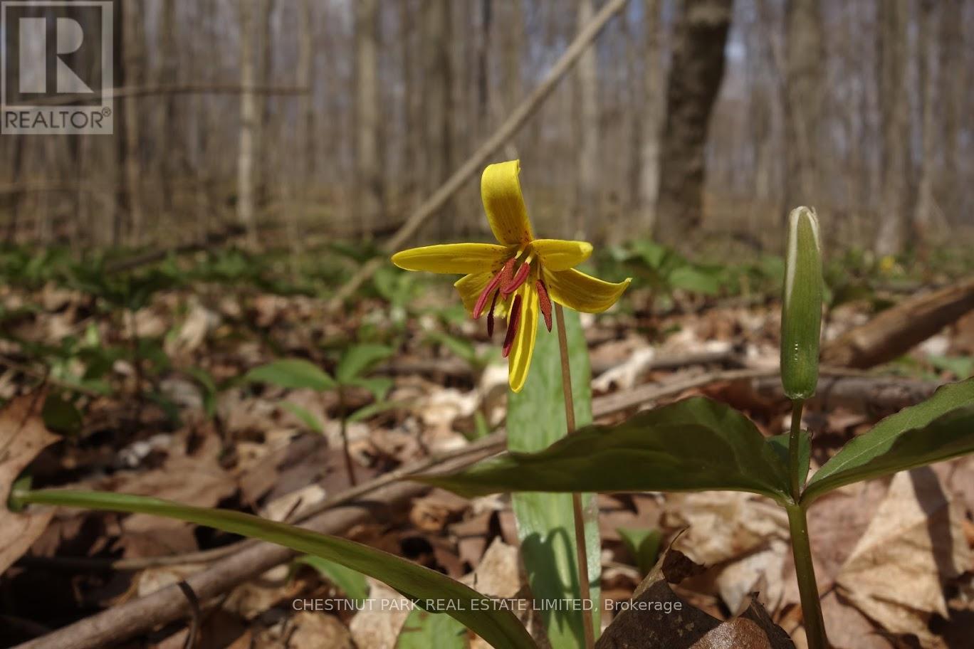 000 Crossen Road, Hamilton Township, Ontario  K9A 4J9 - Photo 21 - X13007426