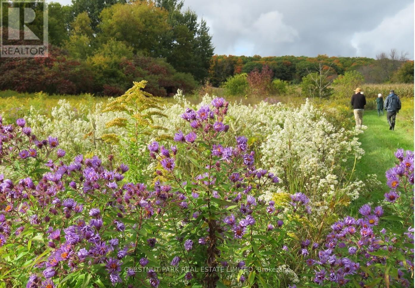 000 Crossen Road, Hamilton Township, Ontario  K9A 4J9 - Photo 26 - X13007426