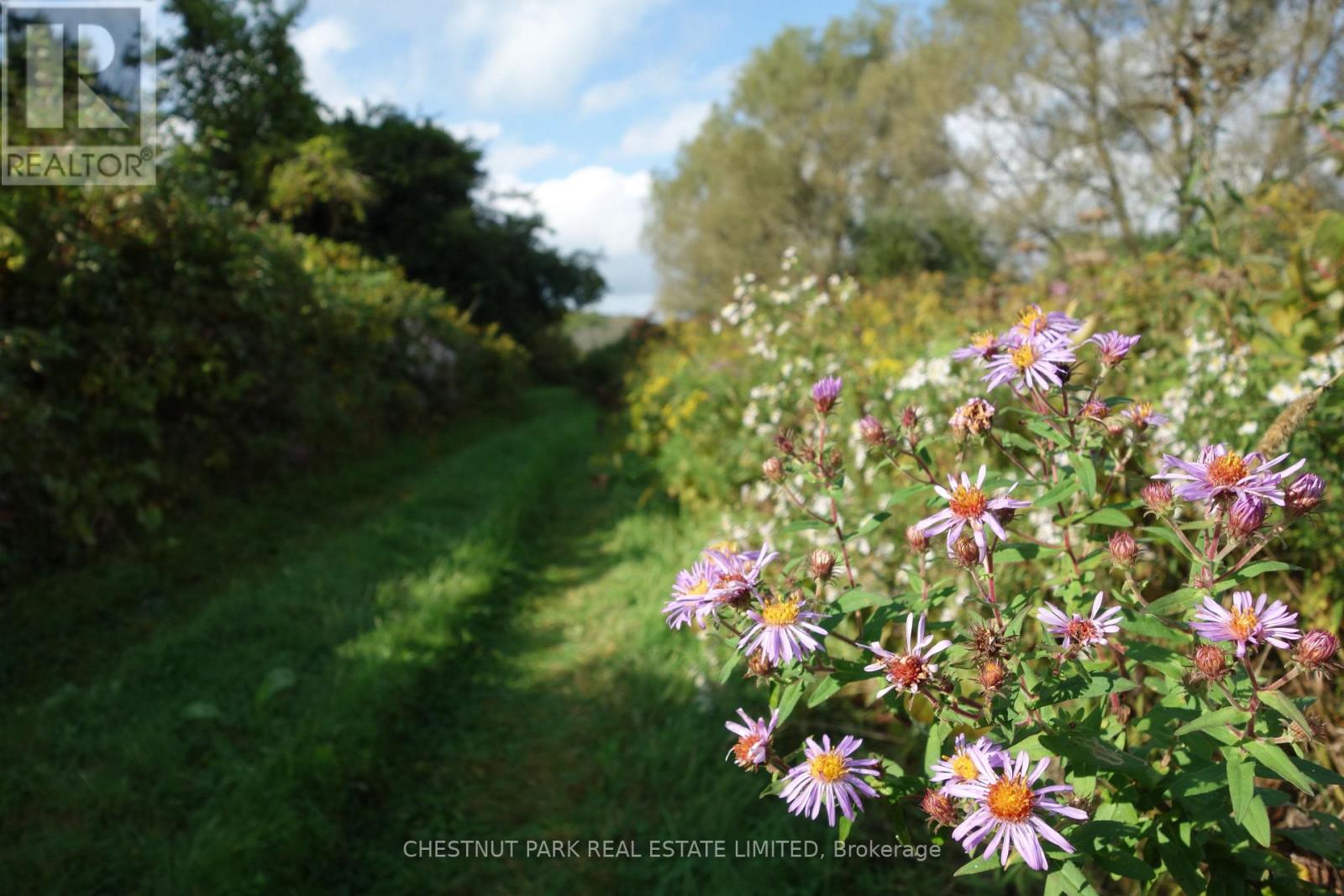 000 Crossen Road, Hamilton Township, Ontario  K9A 4J9 - Photo 27 - X13007426
