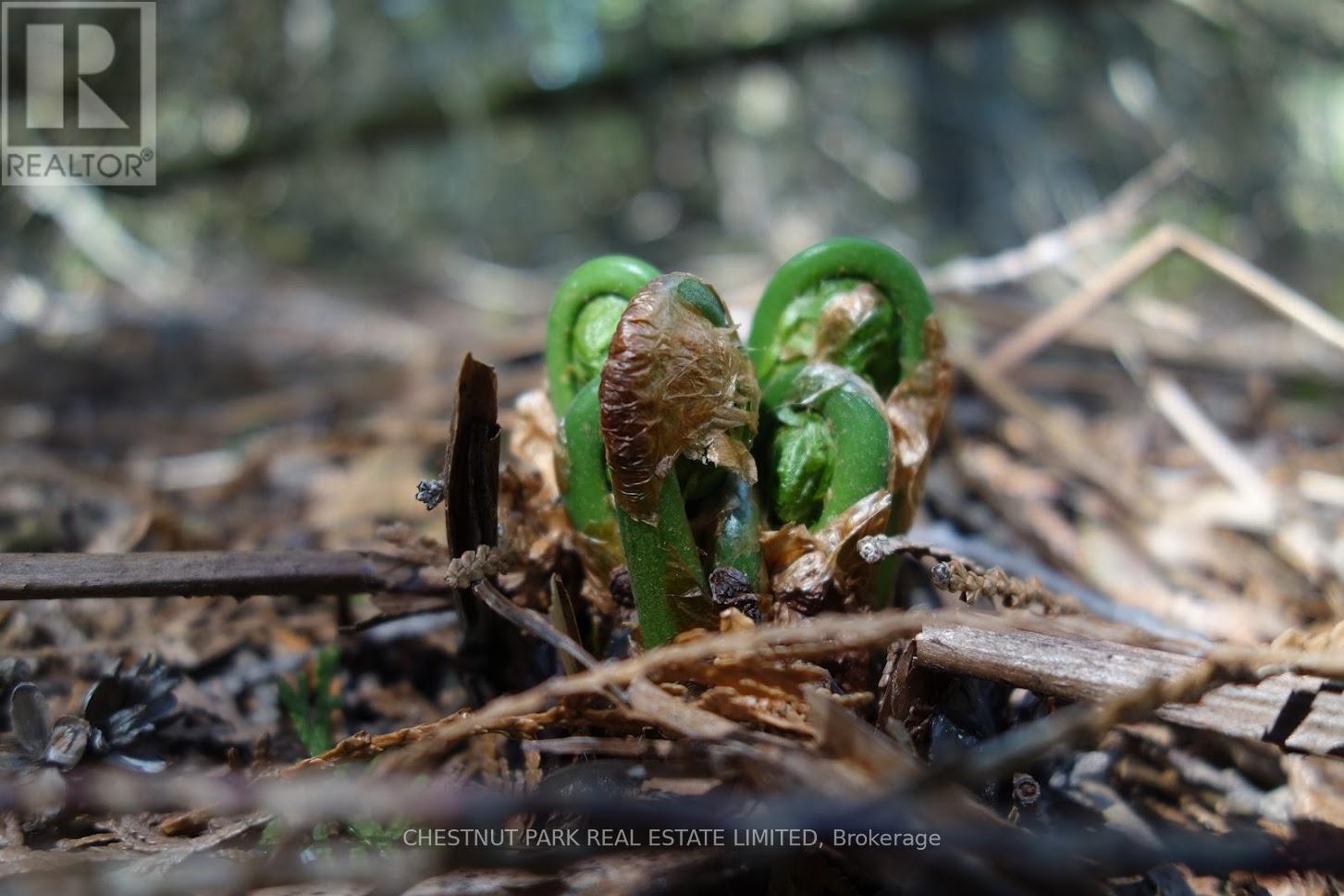 000 Crossen Road, Hamilton Township, Ontario  K9A 4J9 - Photo 31 - X13007426