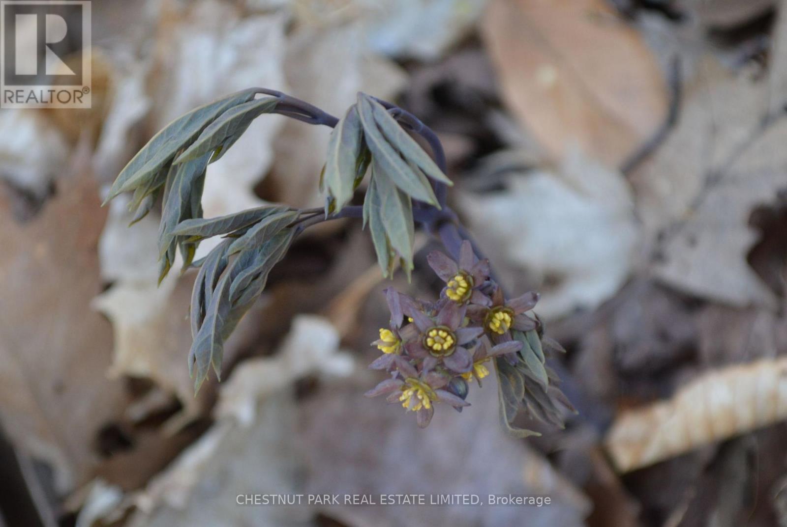 000 Crossen Road, Hamilton Township, Ontario  K9A 4J9 - Photo 32 - X13007426