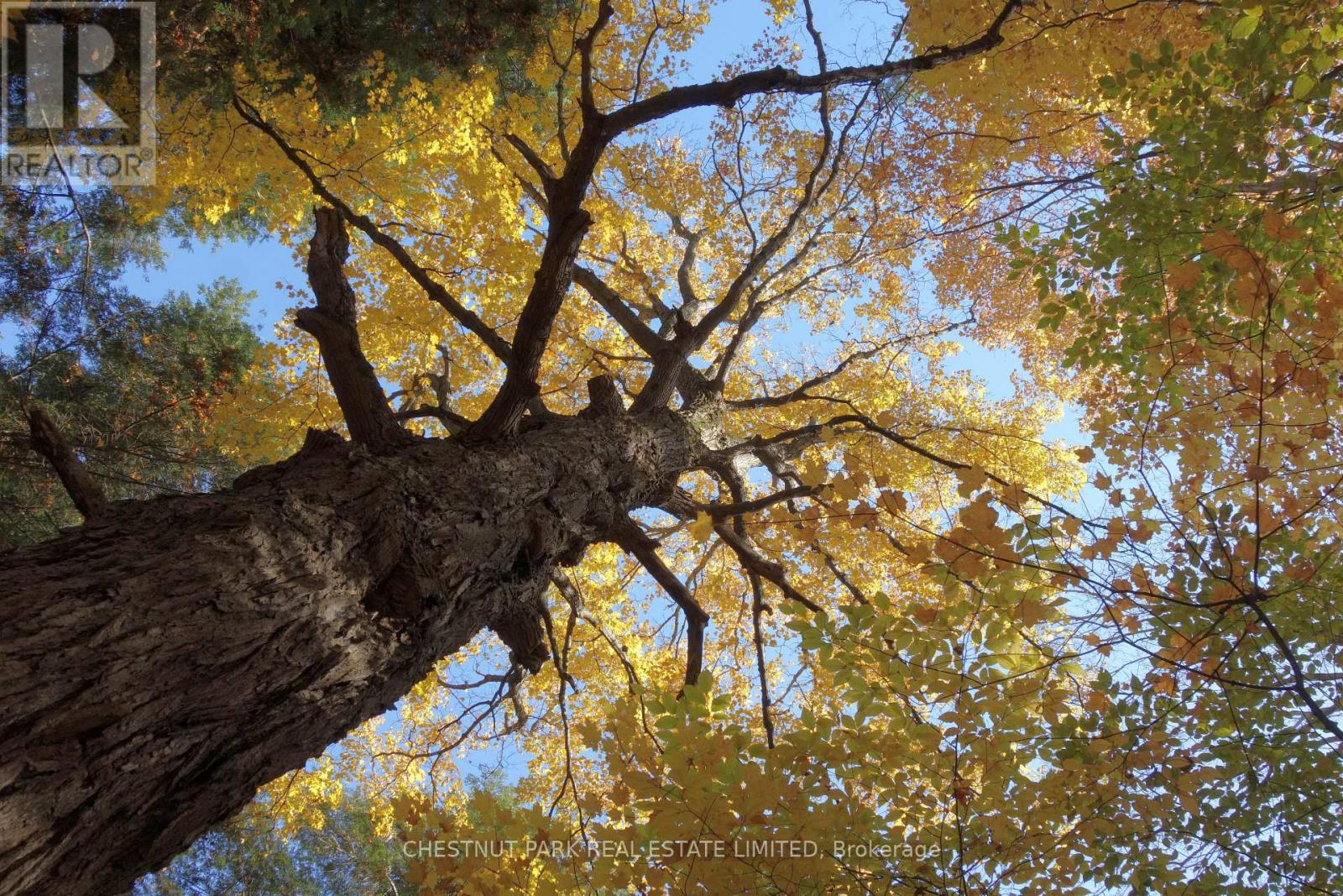 000 Crossen Road, Hamilton Township, Ontario  K9A 4J9 - Photo 33 - X13007426