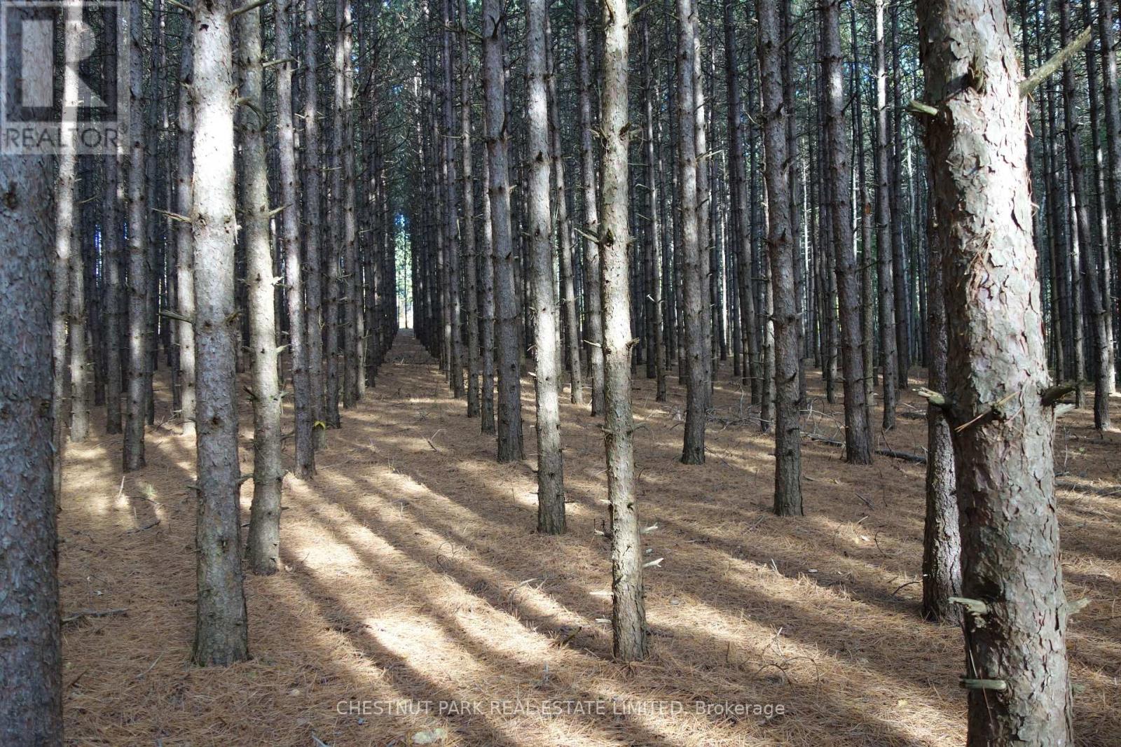 000 Crossen Road, Hamilton Township, Ontario  K9A 4J9 - Photo 37 - X13007426