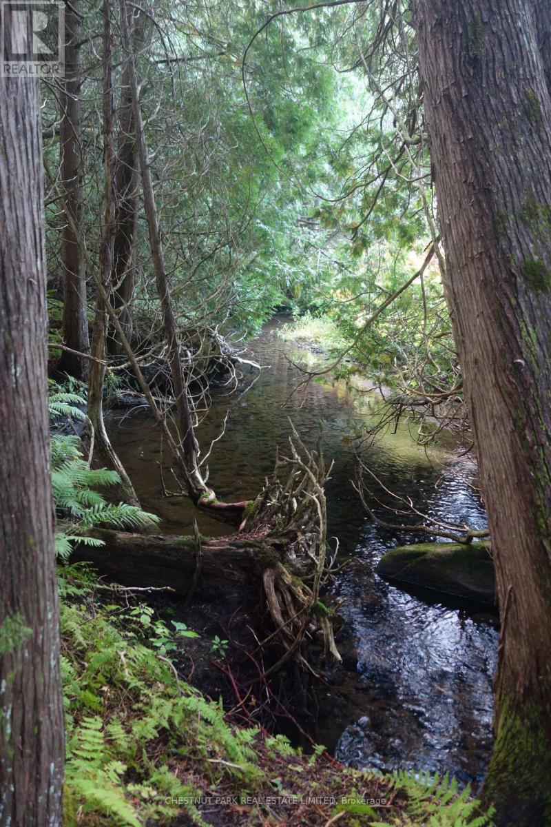 000 Crossen Road, Hamilton Township, Ontario  K9A 4J9 - Photo 38 - X13007426