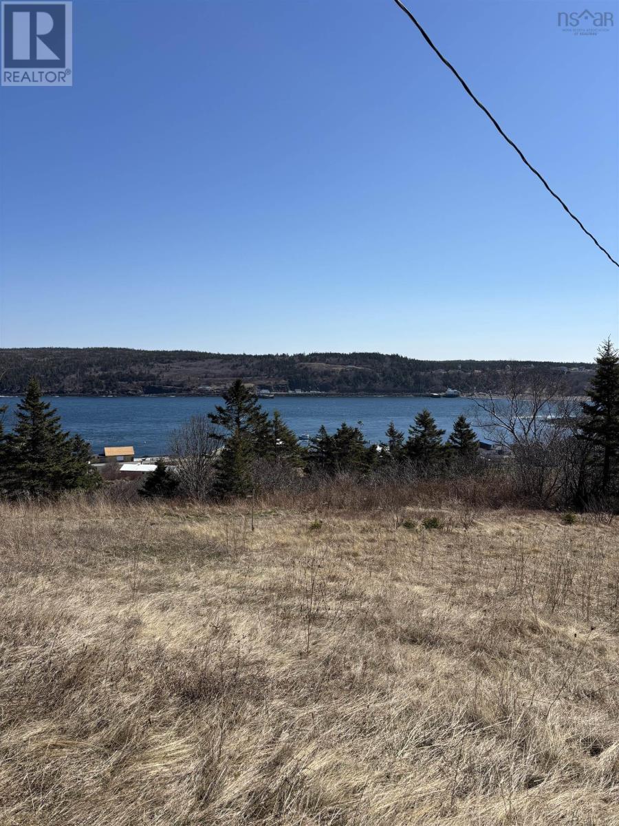 3381 Highway 217, Tiverton, Nova Scotia  B0V 1G0 - Photo 5 - 202607465