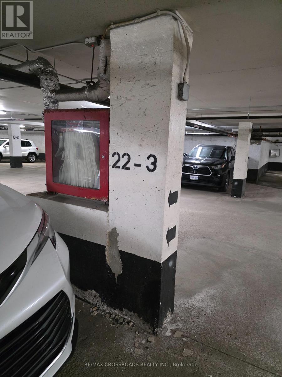 306 - 735 Don Mills Road, Toronto, Ontario  M3C 1T1 - Photo 19 - C13007374