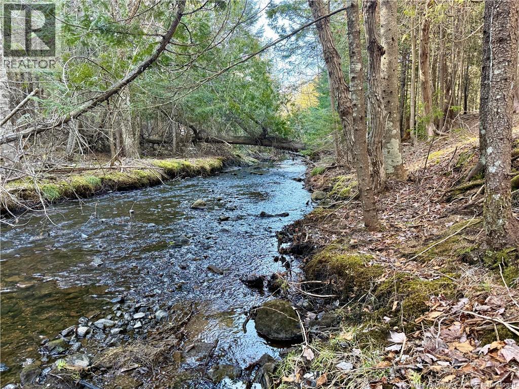 70 Colton Brook Road, Quispamsis, New Brunswick  E2G 1R4 - Photo 7 - NB137149