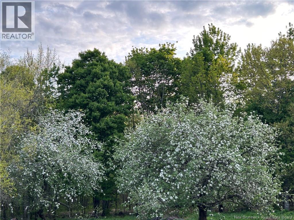 1250 Salmon Creek Road, Codys, New Brunswick  E4C 1E8 - Photo 11 - NB136353