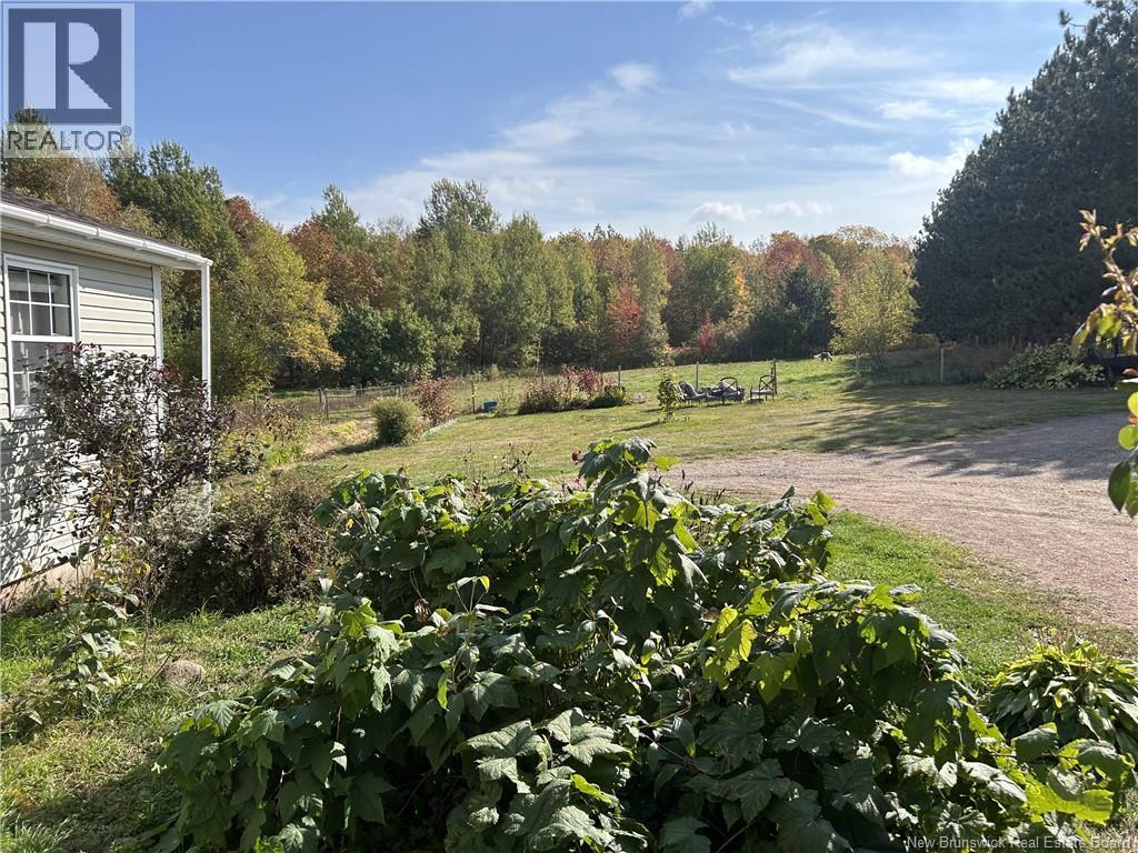 1250 Salmon Creek Road, Codys, New Brunswick  E4C 1E8 - Photo 8 - NB136353