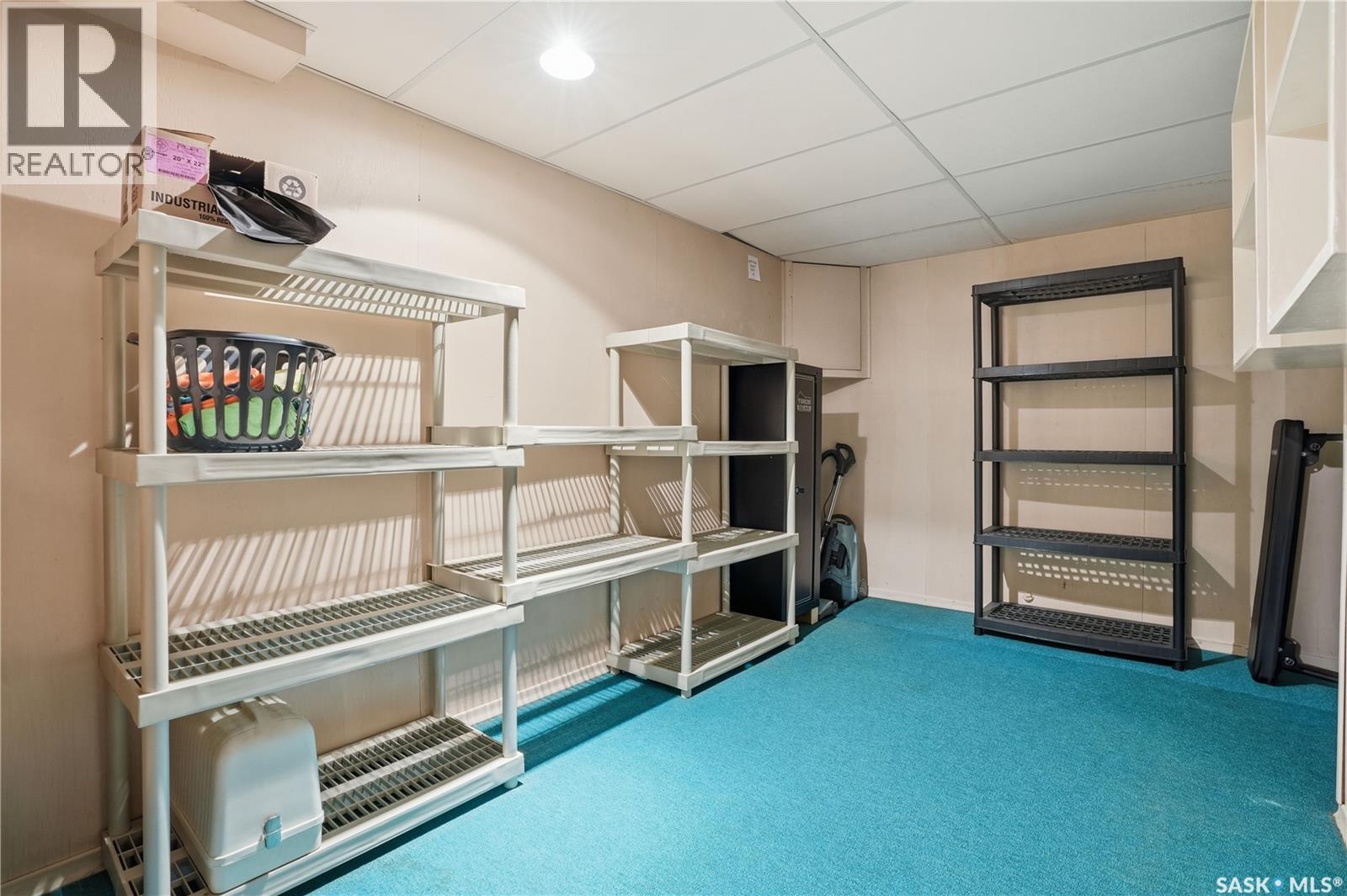 111 Forsyth Crescent, Regina, Saskatchewan  S4R 5L8 - Photo 33 - SK033086