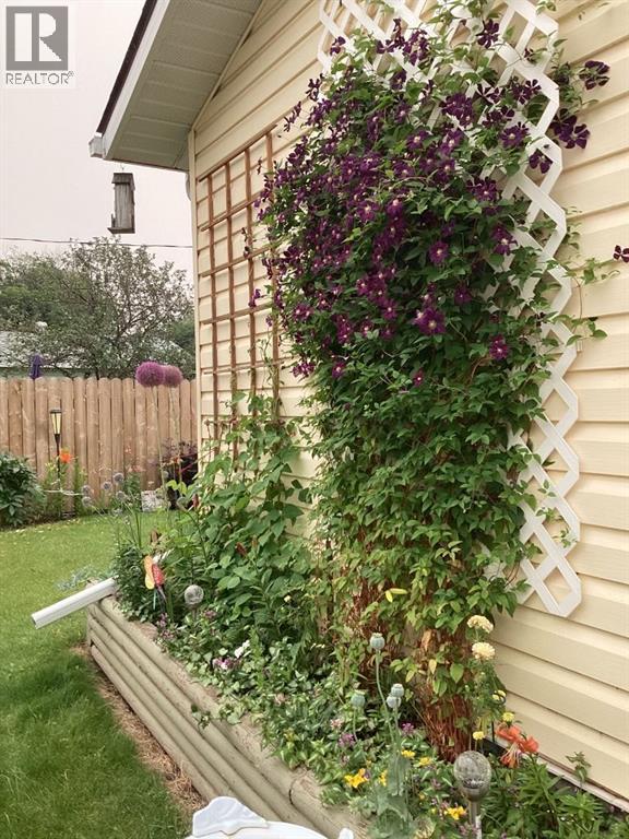 1217 4 Avenue, Wainwright, Alberta  T9W 1G7 - Photo 38 - A2297668