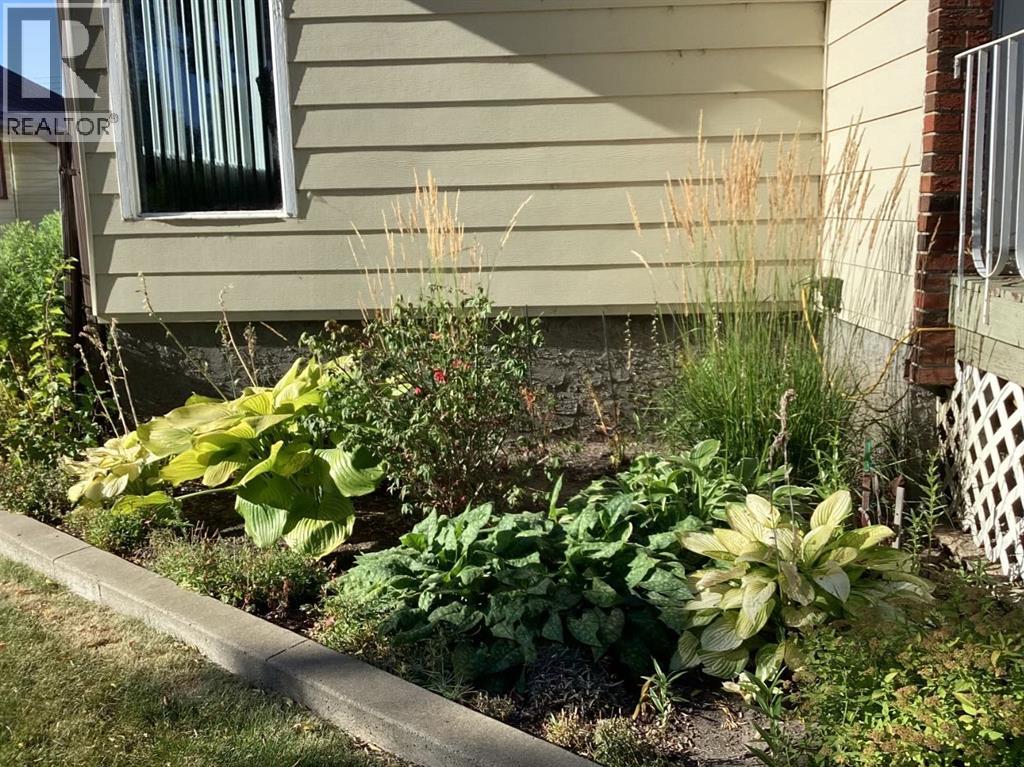 1217 4 Avenue, Wainwright, Alberta  T9W 1G7 - Photo 36 - A2297668