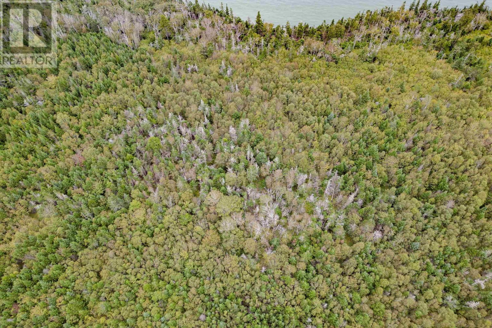 Lot 631 West Bay Road, West Bay, Nova Scotia  B0M 1S0 - Photo 9 - 202607645