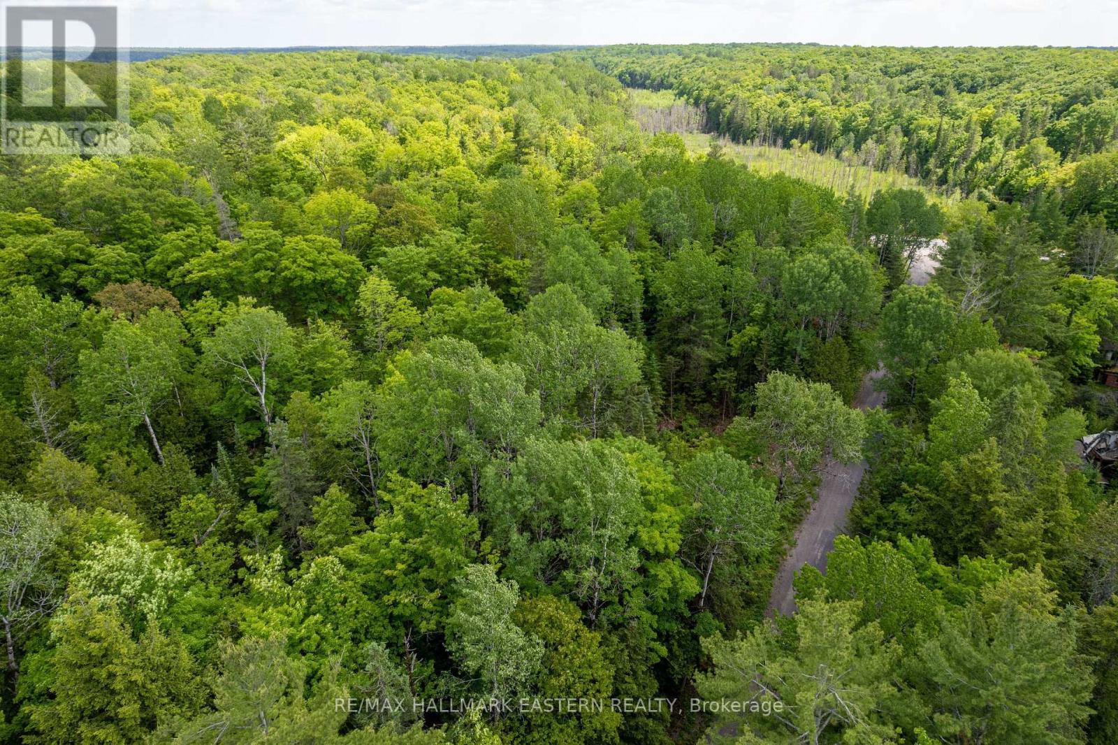 00 Johnson Road, North Kawartha, Ontario  K0L 1A0 - Photo 10 - X13007672