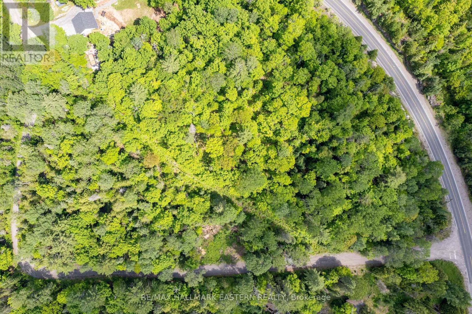 00 Johnson Road, North Kawartha, Ontario  K0L 1A0 - Photo 3 - X13007672