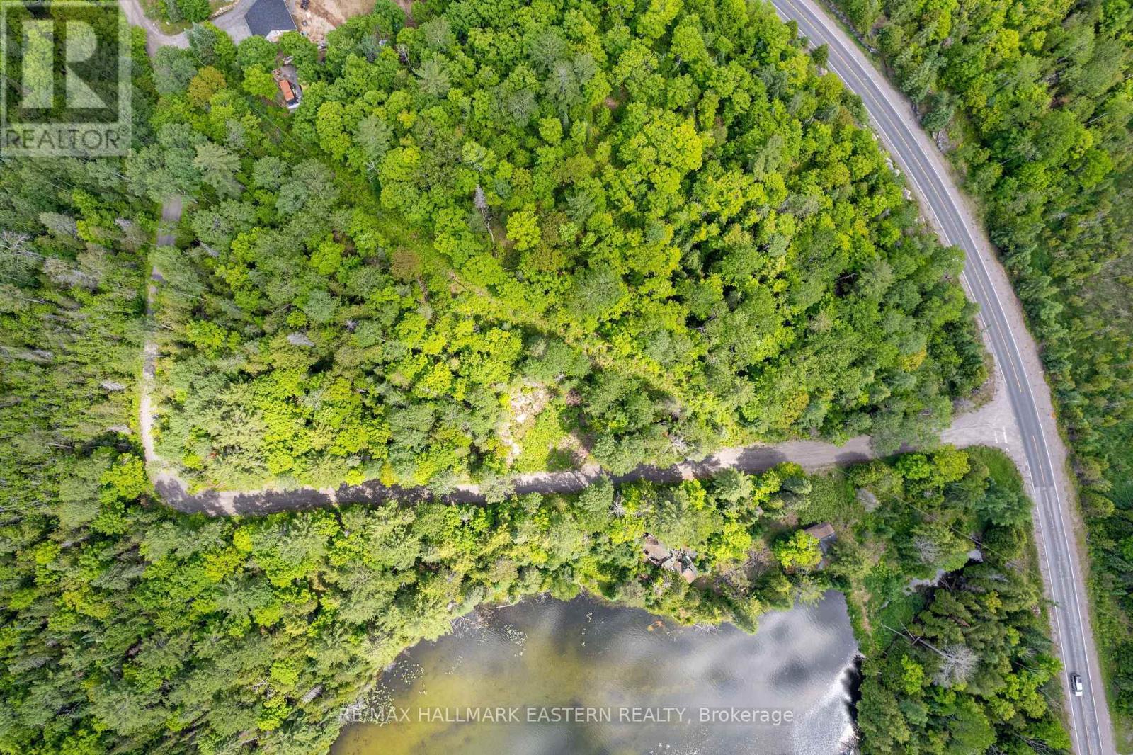 00 Johnson Road, North Kawartha, Ontario  K0L 1A0 - Photo 4 - X13007672