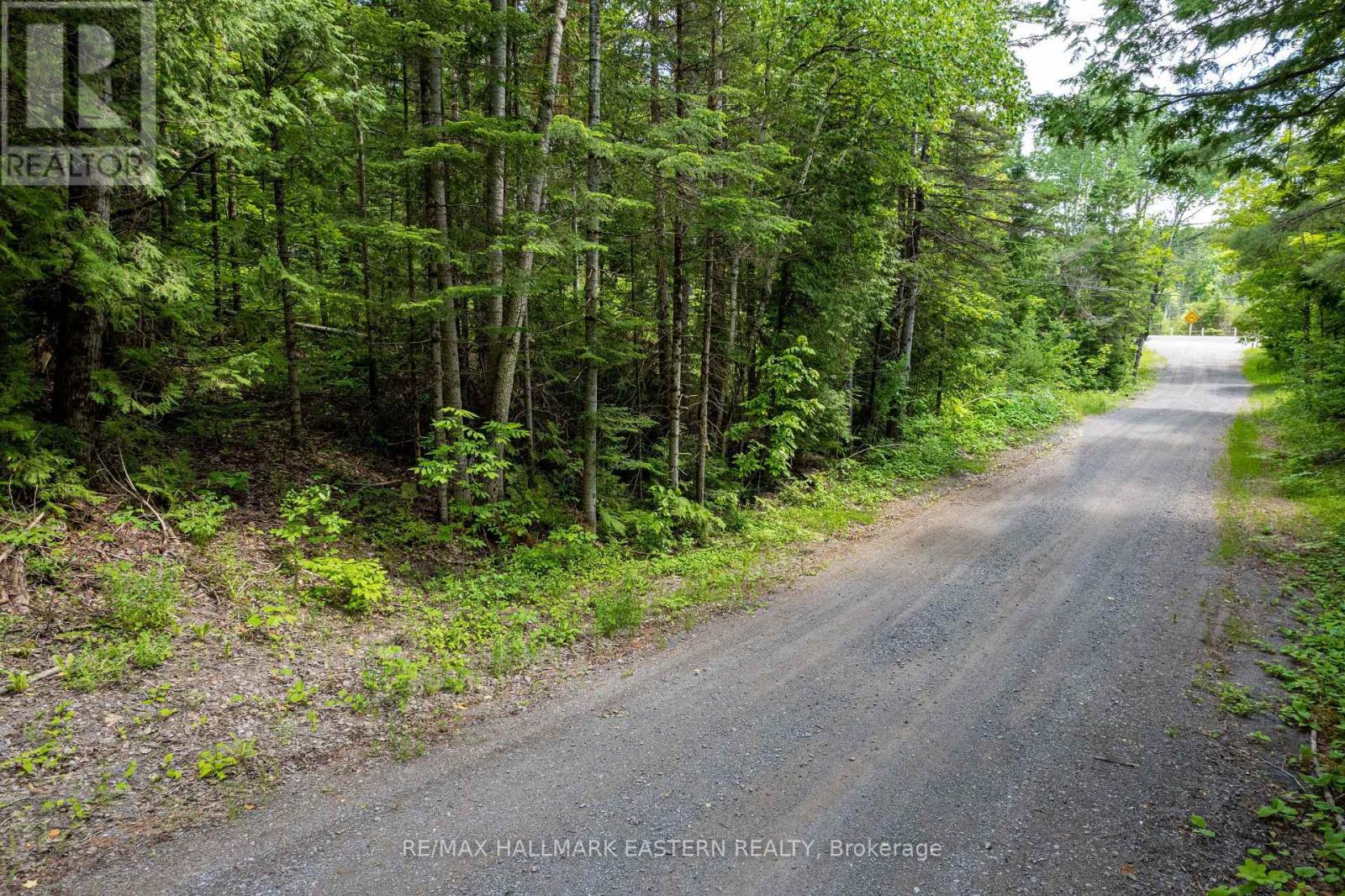 00 Johnson Road, North Kawartha, Ontario  K0L 1A0 - Photo 5 - X13007672
