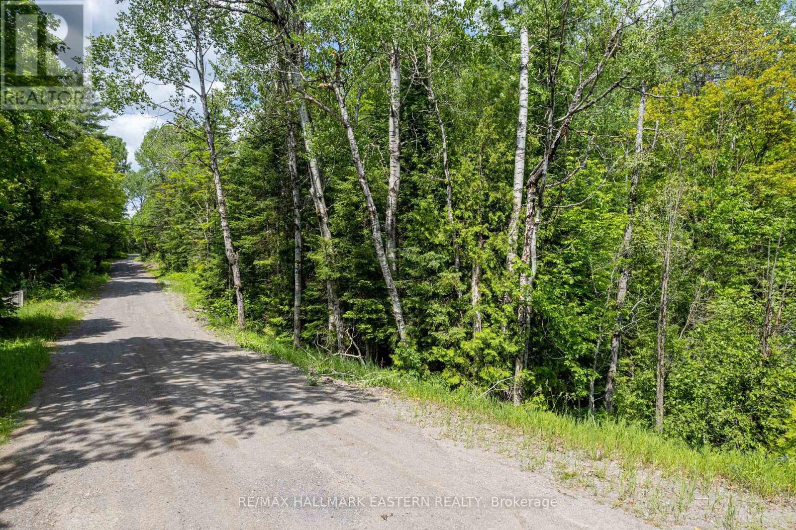 00 Johnson Road, North Kawartha, Ontario  K0L 1A0 - Photo 7 - X13007672