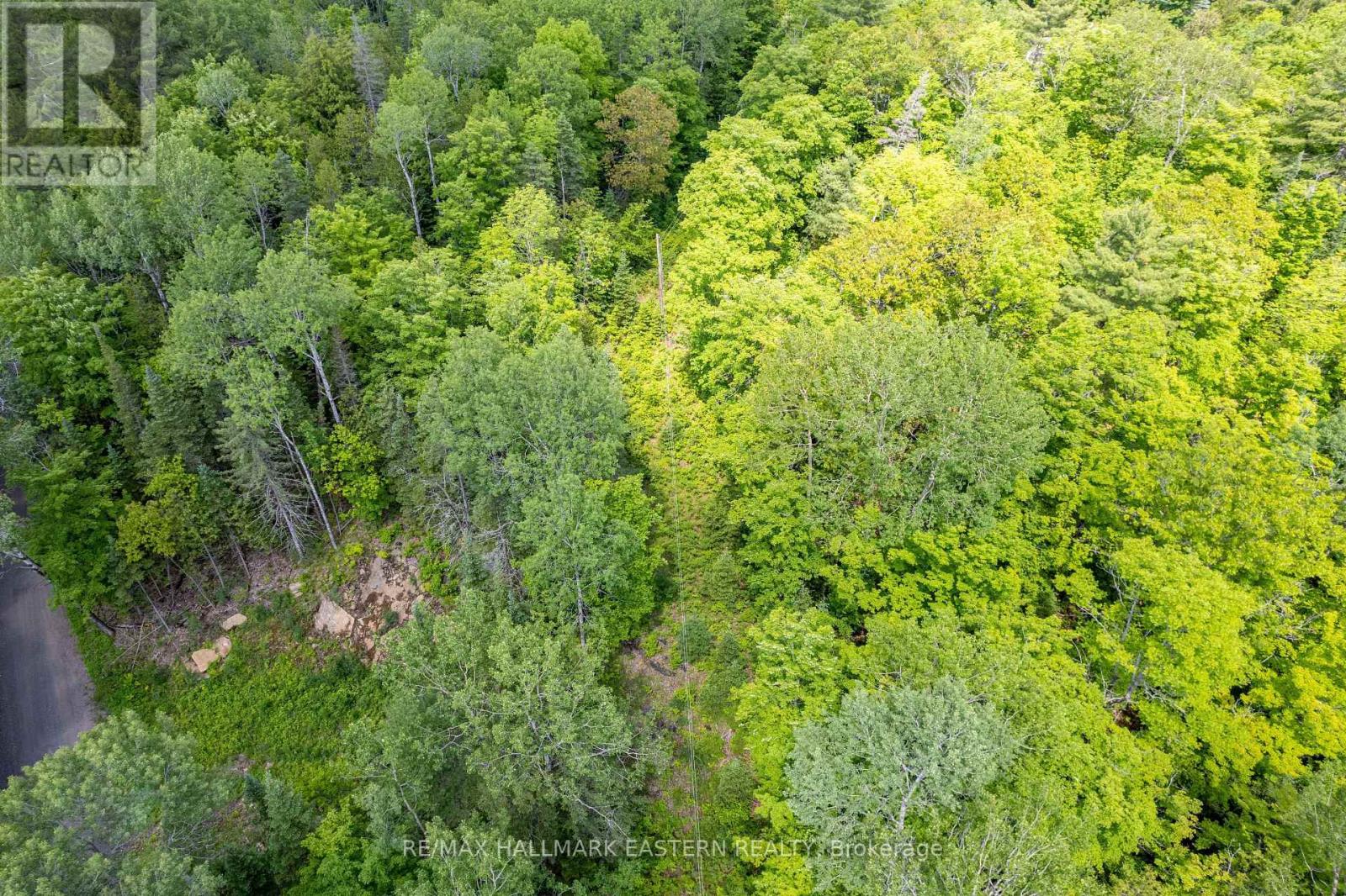 00 Johnson Road, North Kawartha, Ontario  K0L 1A0 - Photo 9 - X13007672