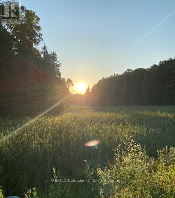 Part 1 Highway 118, Highlands East, Ontario  K0L 2Y0 - Photo 2 - X13007760