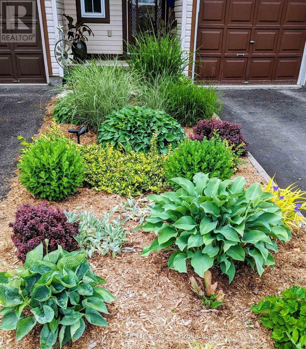 2034 P Avenue, Ottawa, Ontario K1G 6G7 - Photo 35 - X13007700