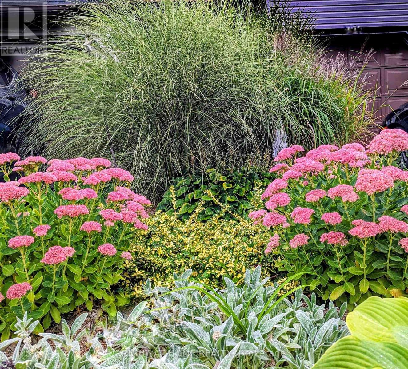 2034 P Avenue, Ottawa, Ontario K1G 6G7 - Photo 36 - X13007700