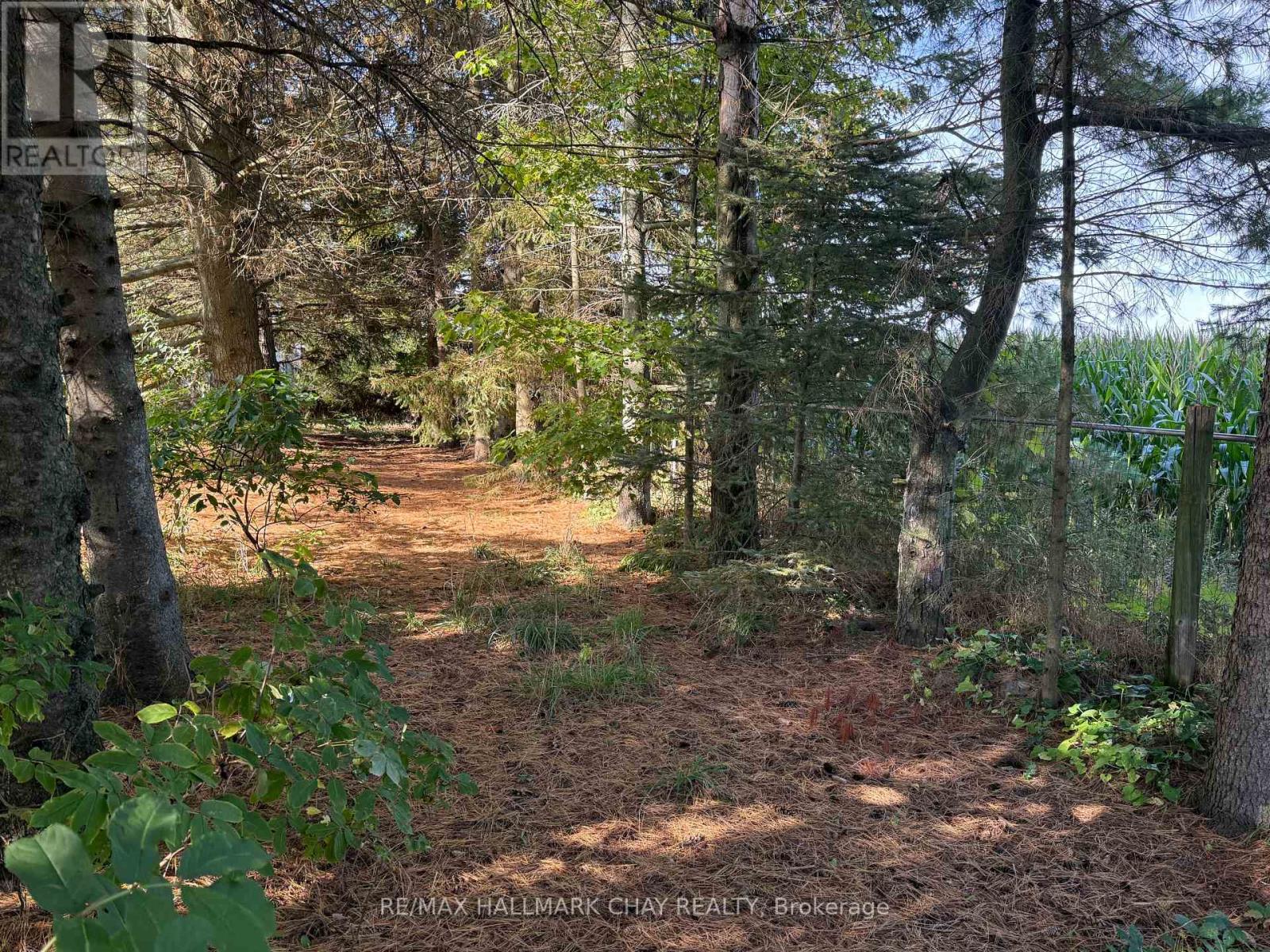 7688 Sideroad 5, Adjala-Tosorontio, Ontario  L9R 1V3 - Photo 10 - N13007618