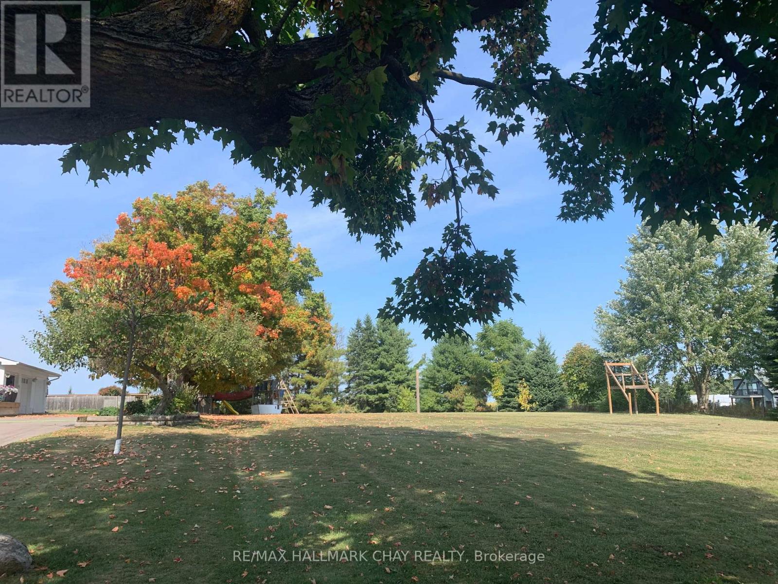 7688 Sideroad 5, Adjala-Tosorontio, Ontario  L9R 1V3 - Photo 11 - N13007618