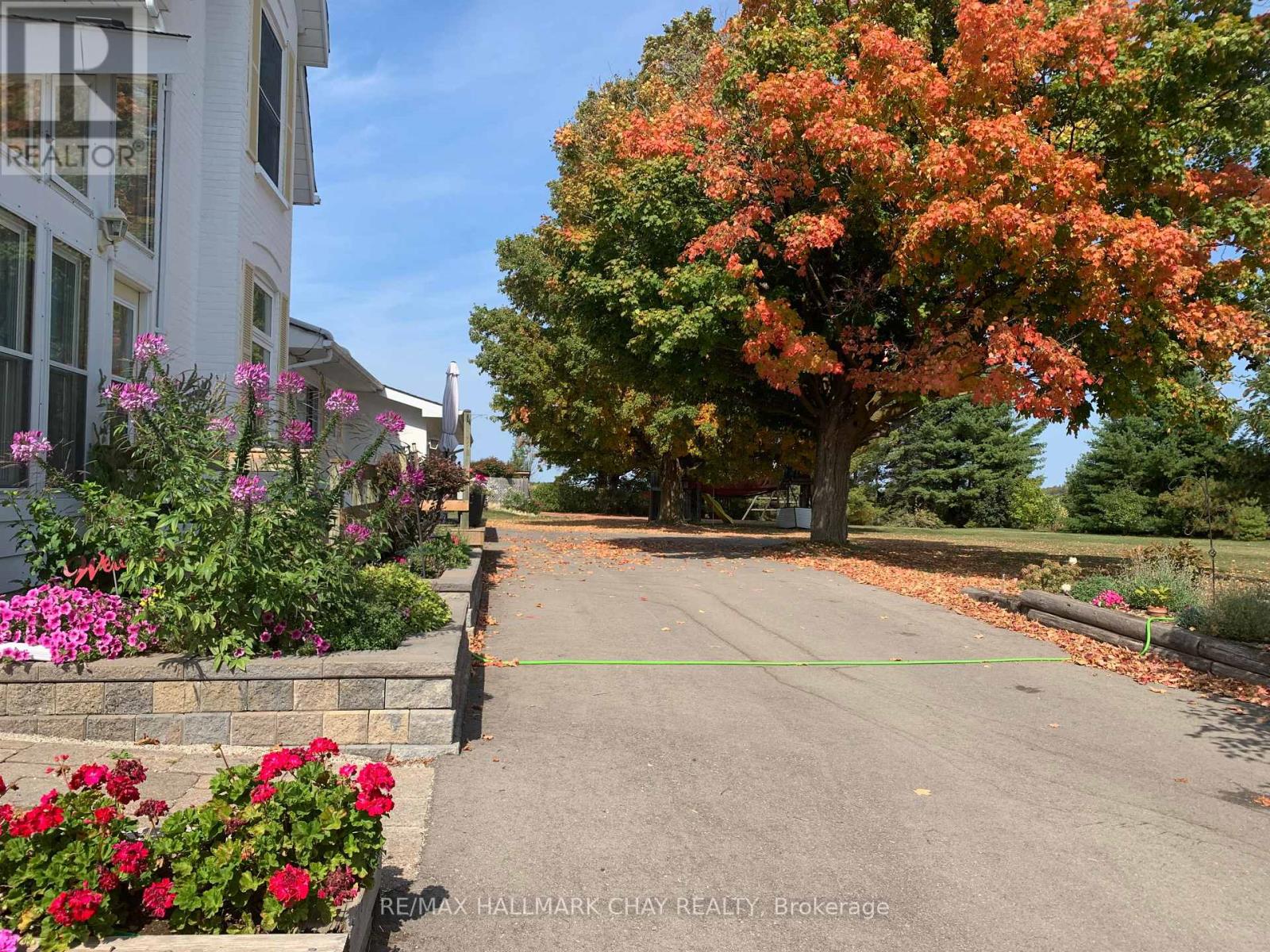 7688 Sideroad 5, Adjala-Tosorontio, Ontario  L9R 1V3 - Photo 4 - N13007618