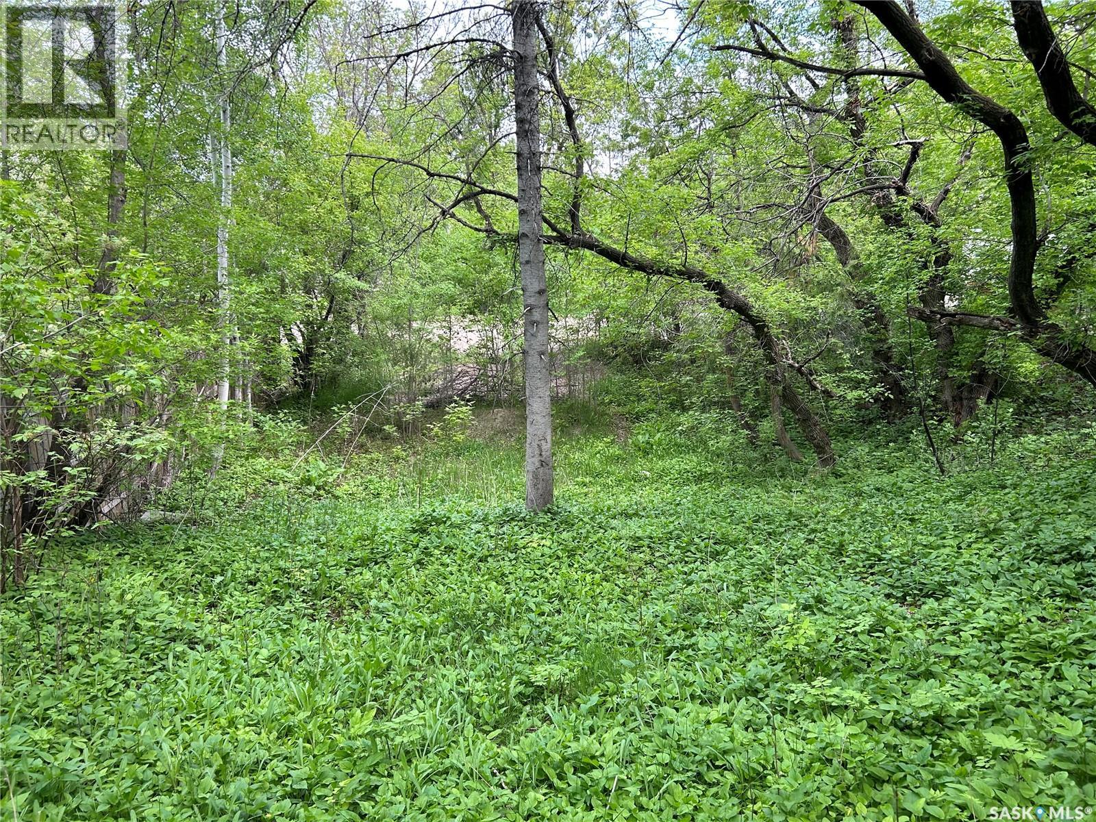 463 Fairchild Avenue, Regina Beach, Saskatchewan  S0G 4C0 - Photo 6 - SK033128