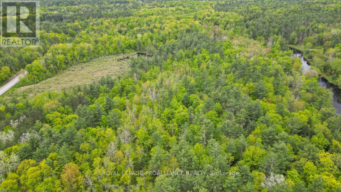 8 Clark Line Road, Addington Highlands, Ontario  K0H 1P0 - Photo 11 - X12824496