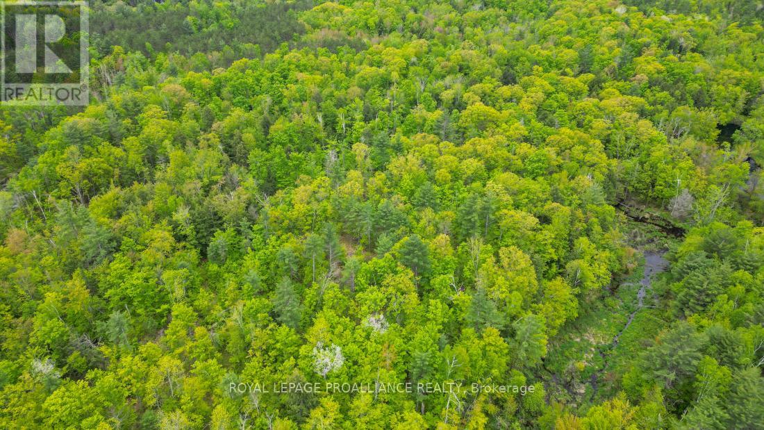 8 Clark Line Road, Addington Highlands, Ontario  K0H 1P0 - Photo 13 - X12824496