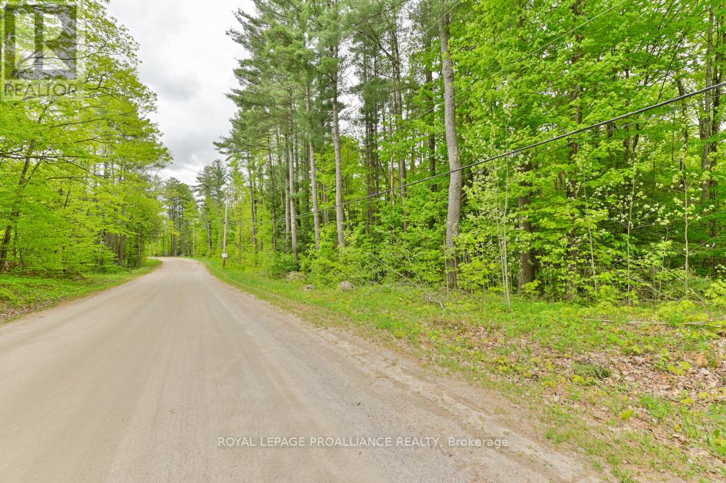 8 Clark Line Road, Addington Highlands, Ontario  K0H 1P0 - Photo 21 - X12824496