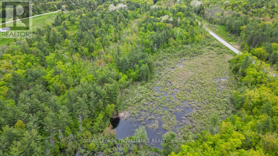 8 Clark Line Road, Addington Highlands, Ontario  K0H 1P0 - Photo 15 - X12824496