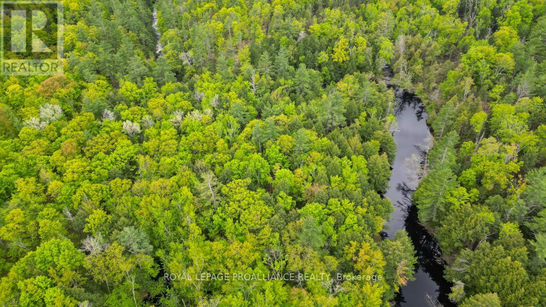 8 Clark Line Road, Addington Highlands, Ontario  K0H 1P0 - Photo 17 - X12824496