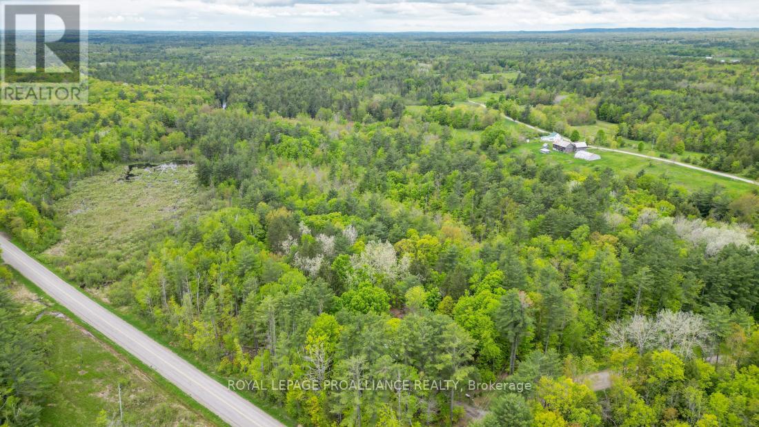 8 Clark Line Road, Addington Highlands, Ontario  K0H 1P0 - Photo 9 - X12824496