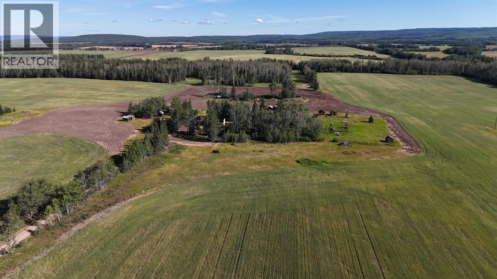 51020 Twp Road 862.5, Rural Clear Hills County, Alberta  T0H 1K0 - Photo 3 - A2243467