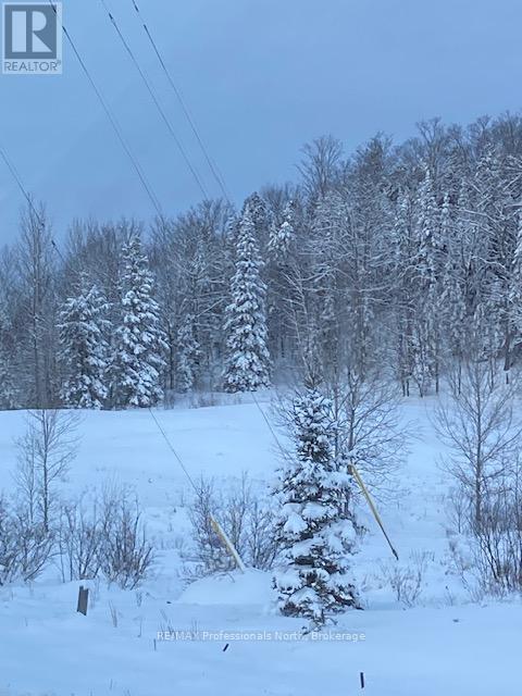 Part 2 Highway 118, Highlands East, Ontario  K0L 2Y0 - Photo 10 - X13007840